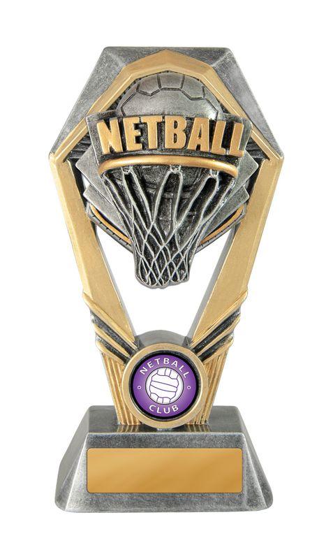Netball Trophy 170mm