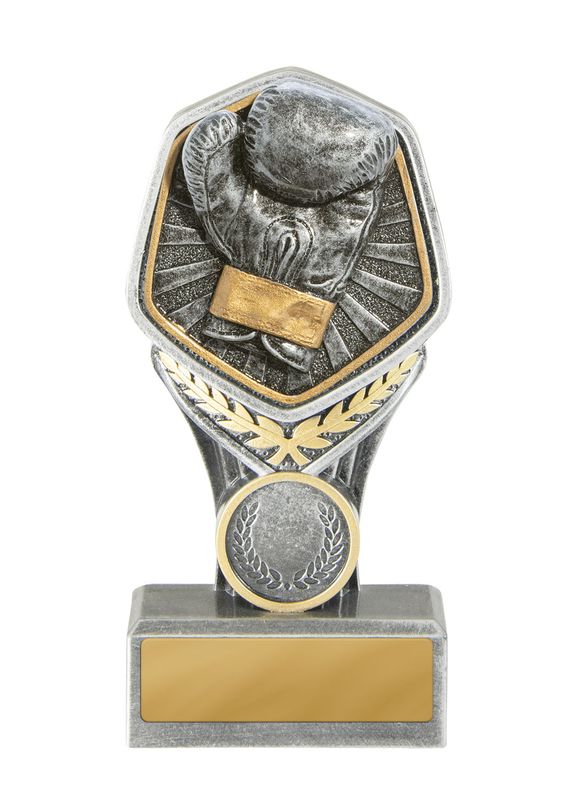 Boxing Trophy 140mm