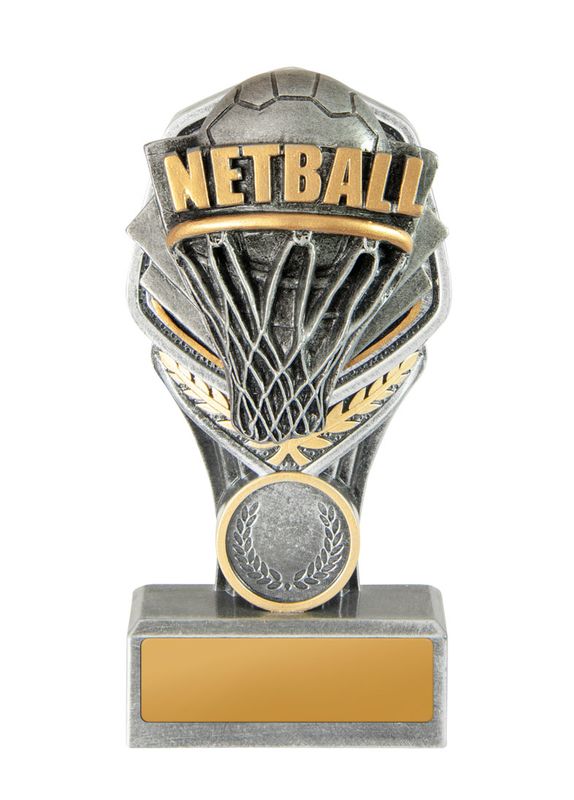 Netball Trophy 180mm