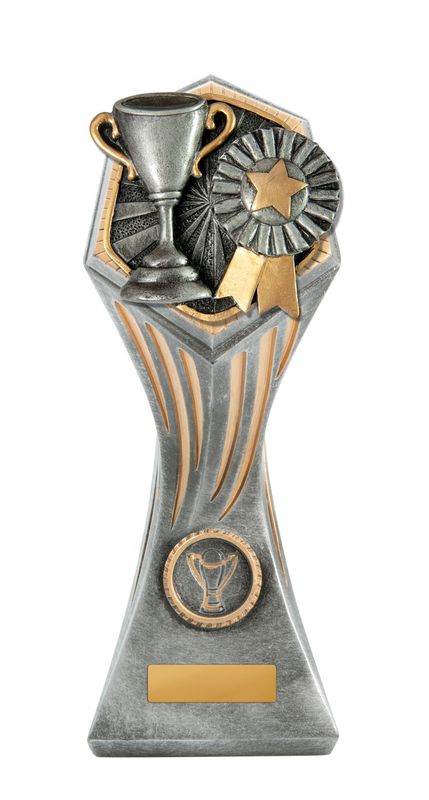 Achievement Schools Trophy 225mm