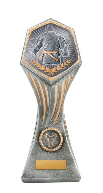 Martial Arts Trophy 225mm
