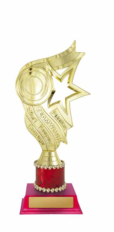 Star Holder